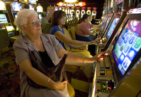 With their quirky ability to remain immobile for hours on end, Americans gradually won the affection of researchers.